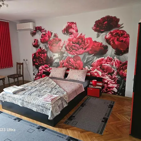 Elena-bg *